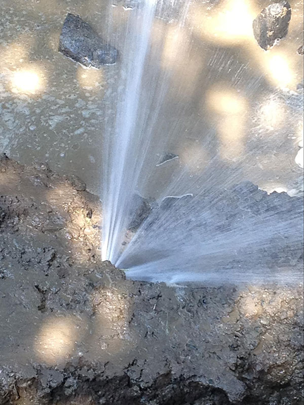 Cách liên hệ địa chỉ siêu âm nước chuyên nghiệp Kiến An